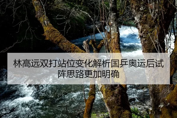林高远双打站位变化解析国乒奥运后试阵思路更加明确